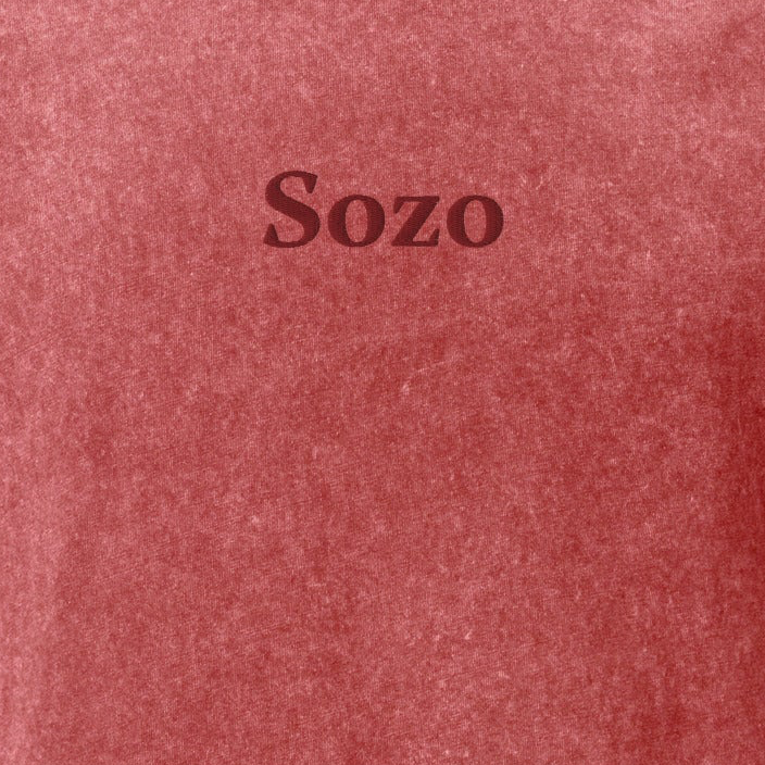 SOZO Christian Vintage Wash T-Shirt – Saved, Healed & Made Whole